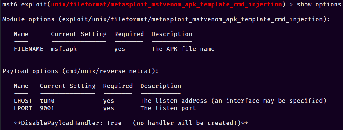 Setting options for our Metasploit console payload.