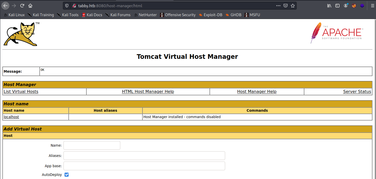 Tomcat host manager as logged in user.